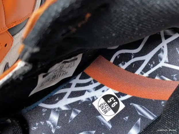 Chep Onekick 555088-113 Backboard Away 1 Shattered Jordan Air 0327